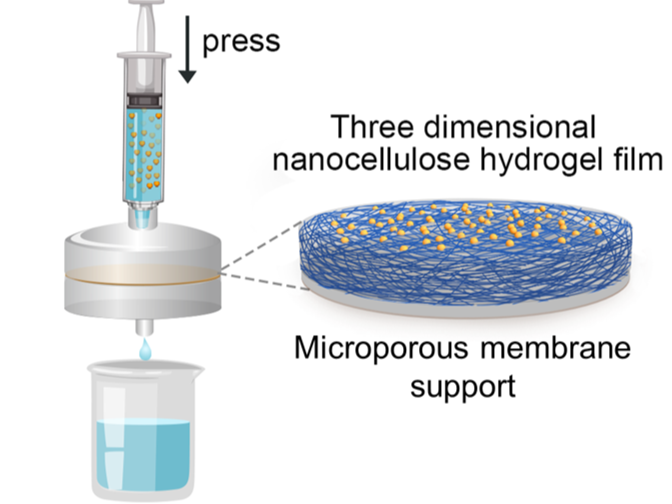 Hydrogel, který z potravinového odpadu vyrobí 15 litrů pitné vody denně.