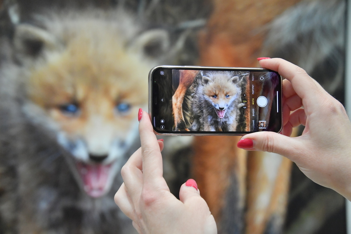 K čemu slouží černá tečka vedle fotoaparátu mobilního telefonu