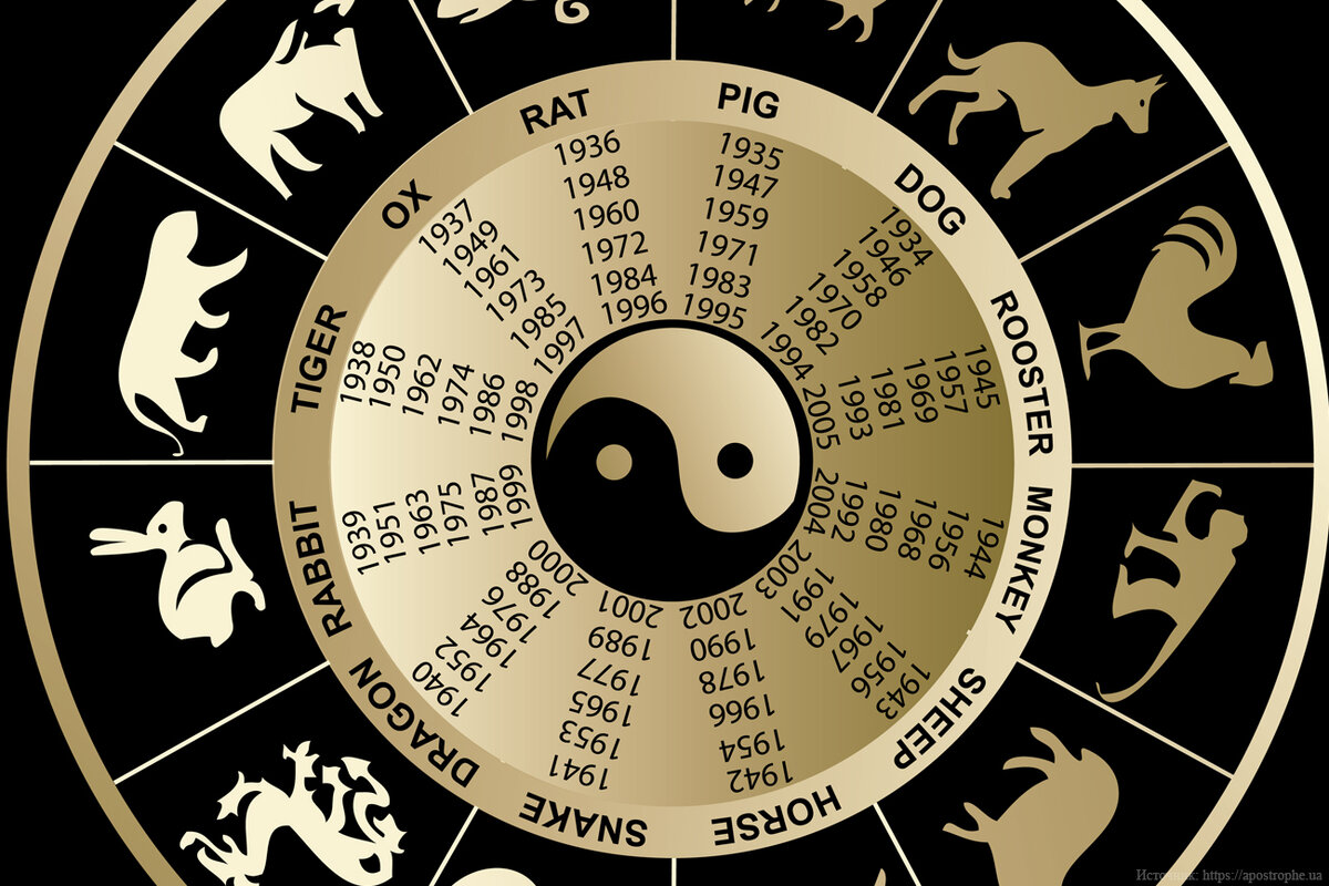 Čínský horoskop: 2 znamení, která v květnu získají dobré zprávy ve finanční oblasti